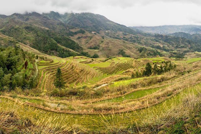 Guilin, rýžové terasy, Ping´an Guilin, rýžové terasy, Ping´an