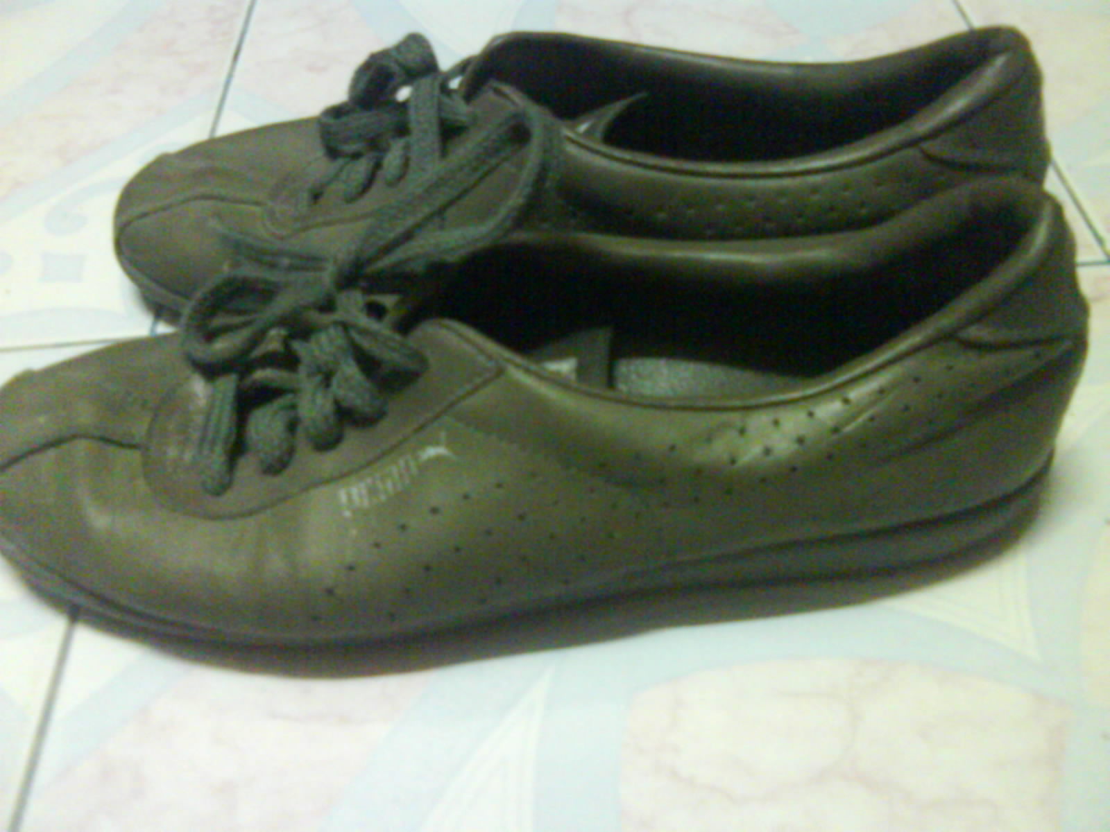 puma two fold
