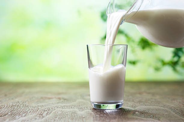 10 Enrich Calcium Healthy Foods