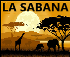 LA SABANA AFRICANA