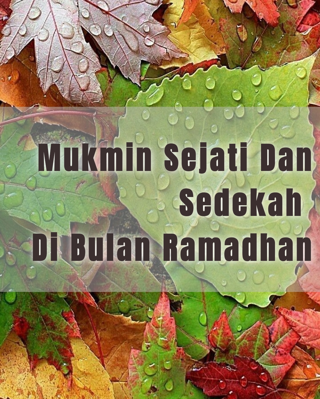 Mukmin Sejati Dan Sedekah Di Bulan Ramadhan