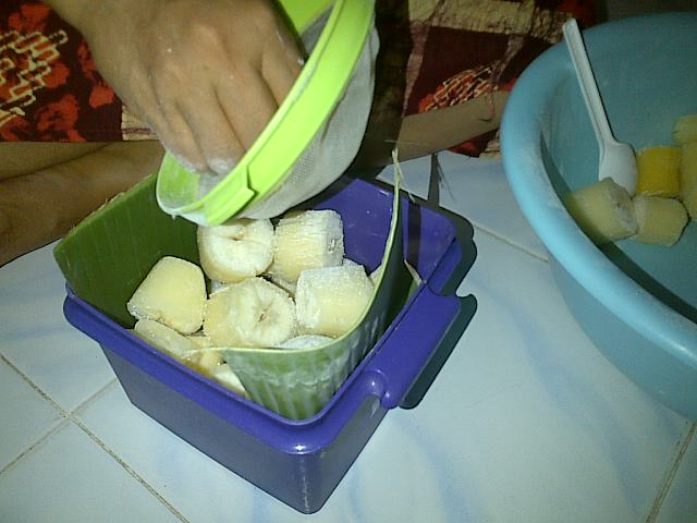 LAPORAN BIOTEKNOLOGI PEMBUATAN TAPE RAEN WULAN