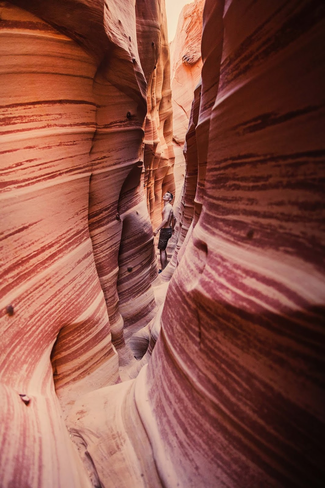 20+ Best Wallpapers For Realme 5 and 5 Pro