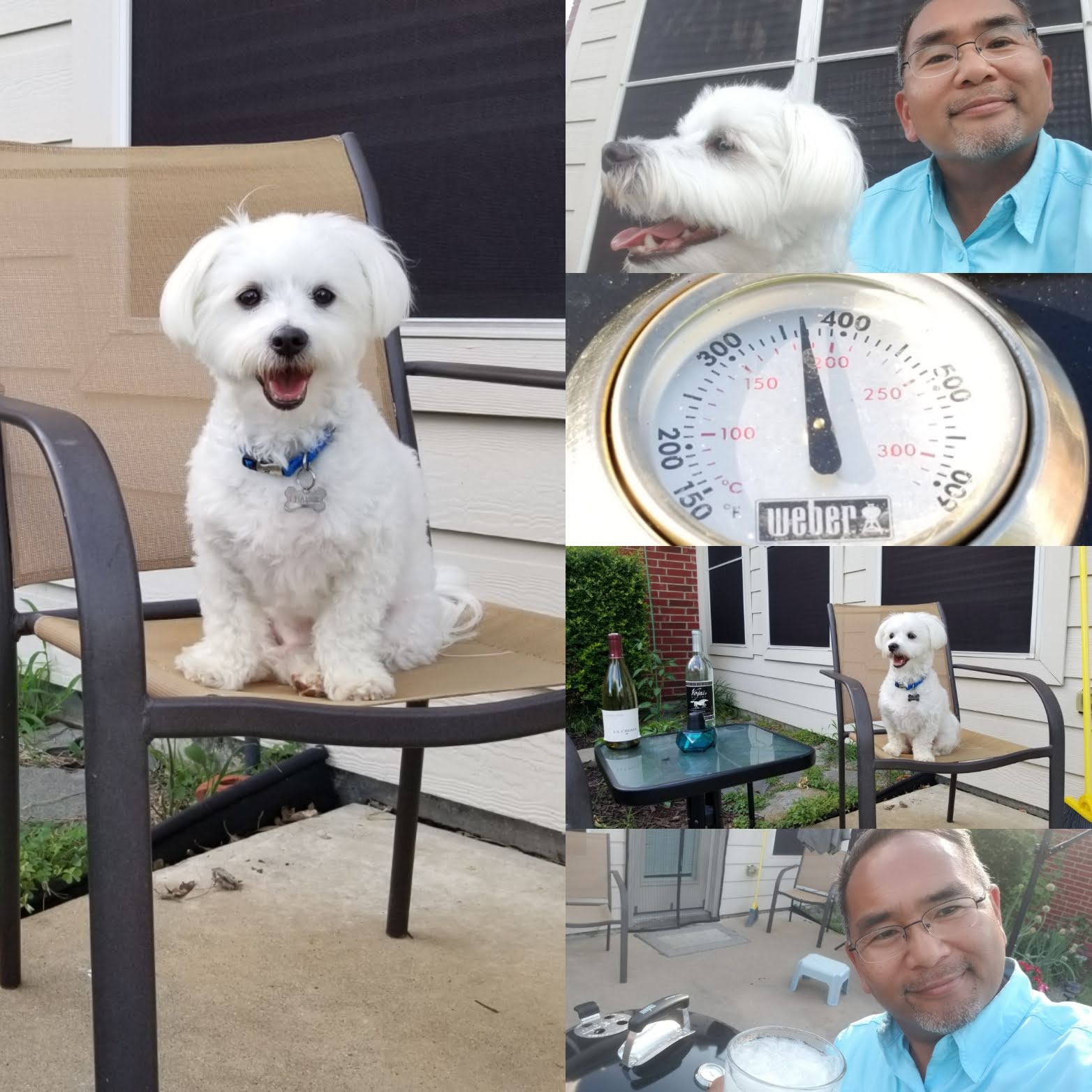 The Winos' Wine Guide Winos' Wine Guide Catching Up Post wines spirits cocktails