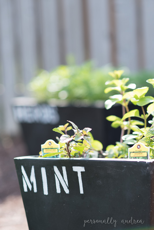 Chalkboard Style Garden Container Makeover Personally Andrea