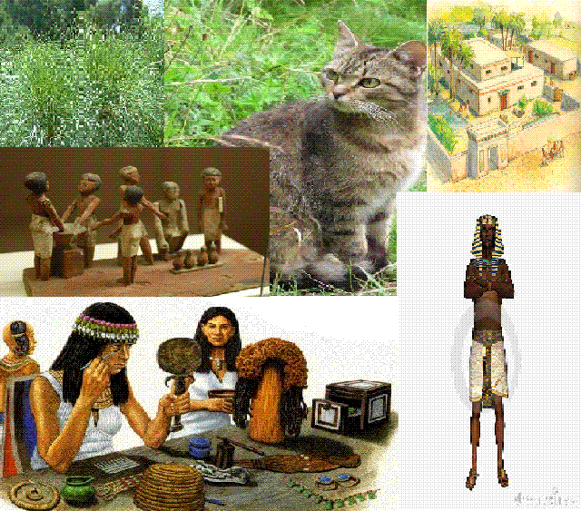 Publikováno z http://www.philae.nu/akhet/Housing2.html, http://roadtickle.com/ancient-make-up/, http://www.dreamstime.com/royalty-free-stock-photo-egyptian-pharaoh-image8165045, http://www.ancientegyptonline.co.uk/beer.html, http://zazraky-vsehomira.blog.cz/1105/papyrus, http://www.biolib.cz/cz/taxonimage/id1876/