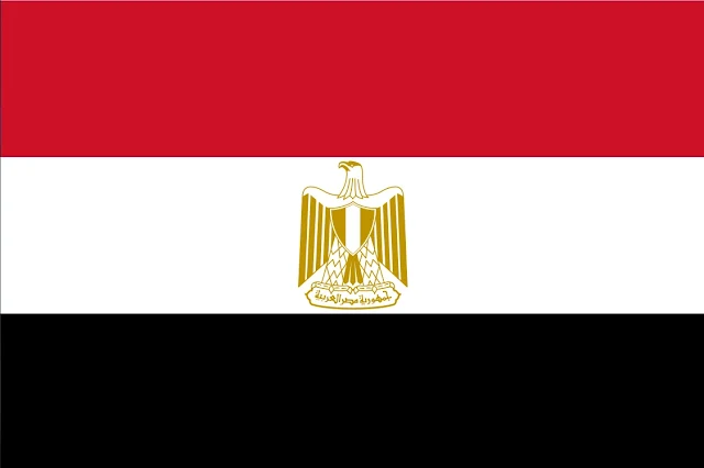Veja todos os elementos da bandeira egípcia: cores e a águia-de-saladino