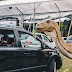 [News] Com aventura inesquecível para toda a família, Jurassic Safari Experience fica no Rio de Janeiro até 28/2