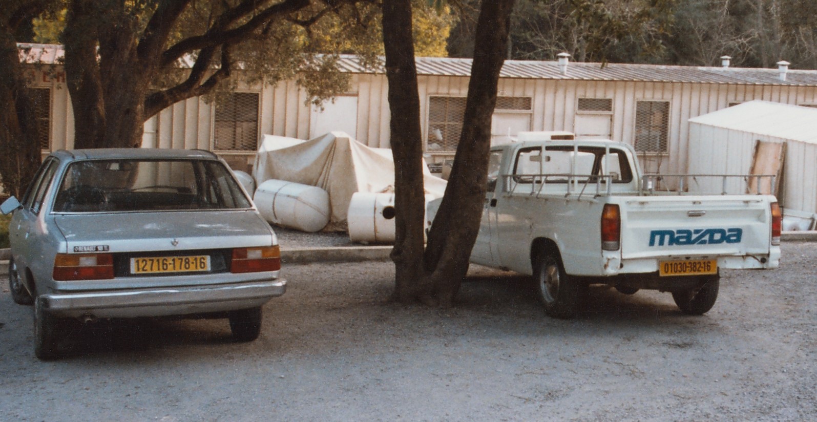 World License Plates in Photos