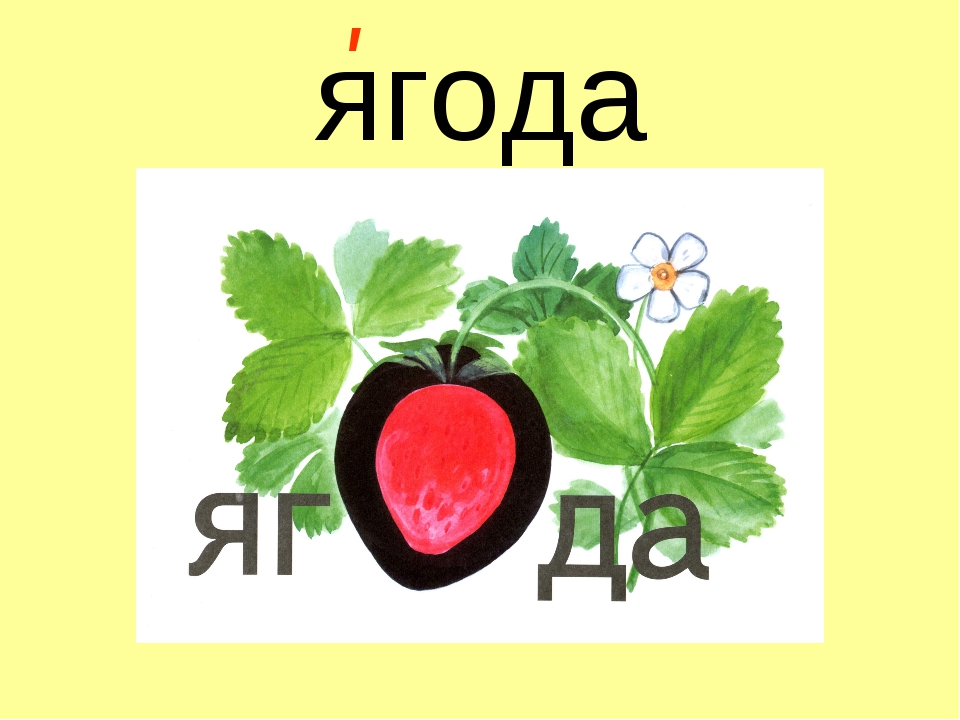 полезные дикорастущие ягоды. ягода словарное слово. ягода 2 класс. лесные ягоды ядовитые и съедобные. полезные дикорастущие ягоды.