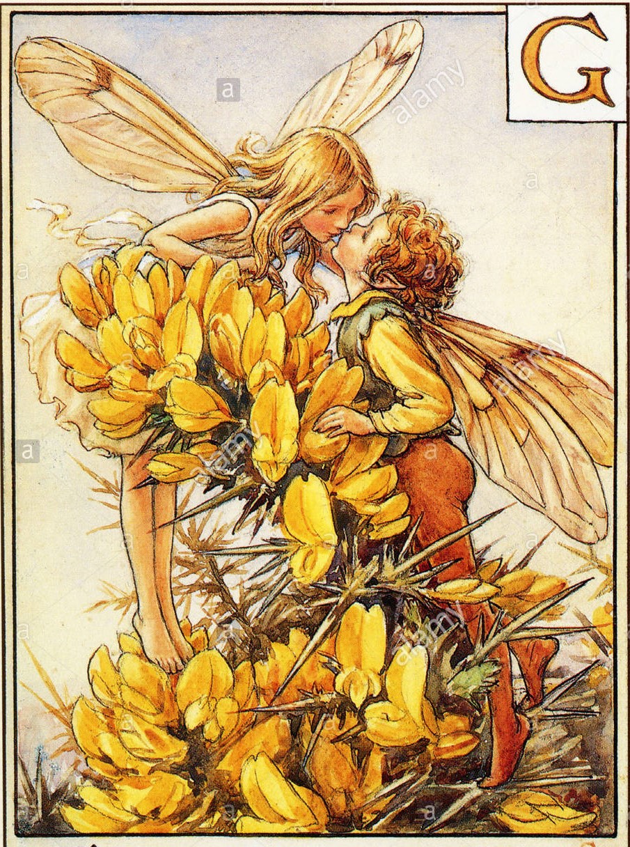 The magic kingdom (of illustration) Il libro completo delle Fate dei Fiori di Cicely Mary Barker The magic kingdom (of illustration) Il libro completo delle Fate dei Fiori di Cicely Mary Barker