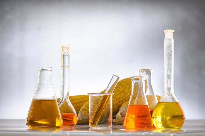 Combustible De Origen Vegetal Y Grasa Animal Combustible De Origen Vegetal Y Grasa Animal