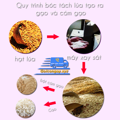 Quá trình tạo ra cám và gạo
