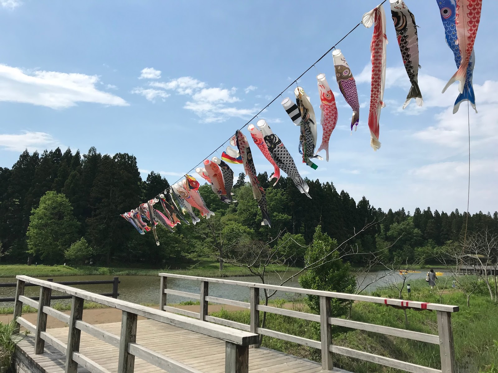 エスネル 豊かな暮らしを送る秘密 新潟観光大使 47 柏崎夢の森公園のこいのぼり