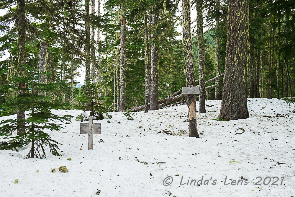 Linda's Lens Frog Lake Butte