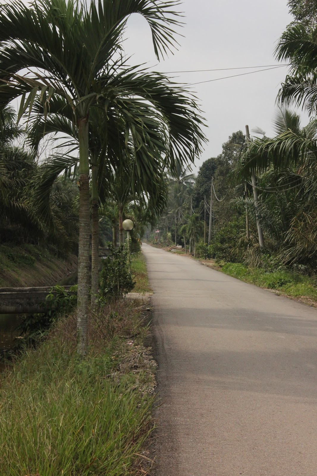 :::memori yang tinggal :::::: Syawal Kini tak seindah dulu