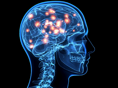 How To Improve Memory Performance And Brain Function (5 Steps) How To Improve Memory Performance And Brain Function (5 Steps)