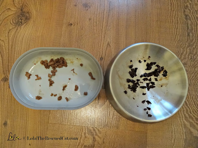 surefeed sealed pet bowl