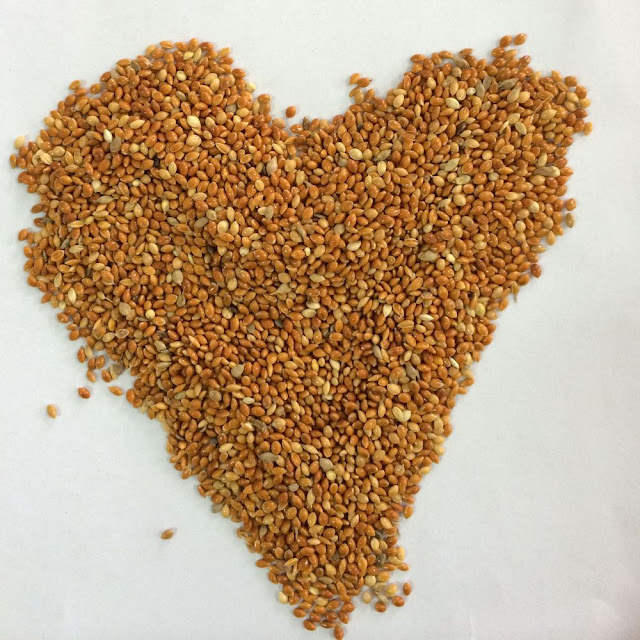 Bird In Everything Millet Bird