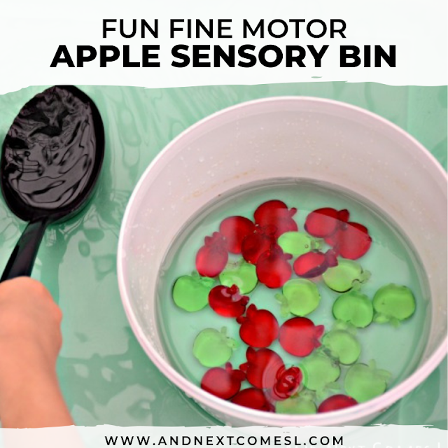Apple sensory bin with water