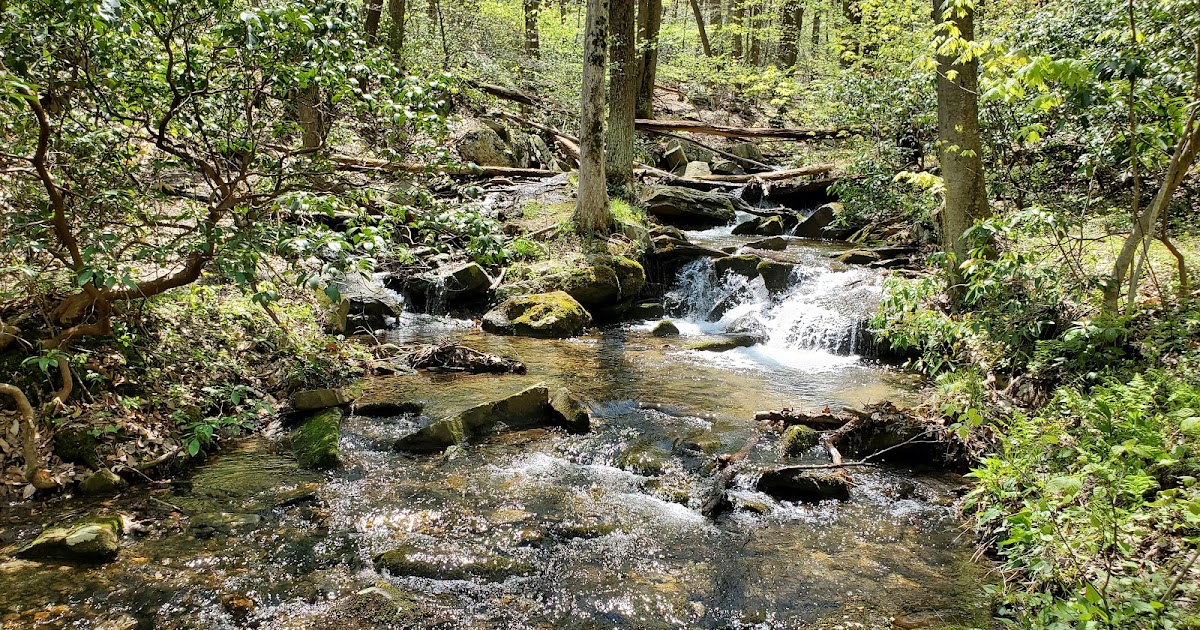 Ben's Journal Hiking Frederick Municipal Forest Three Saws Trail to