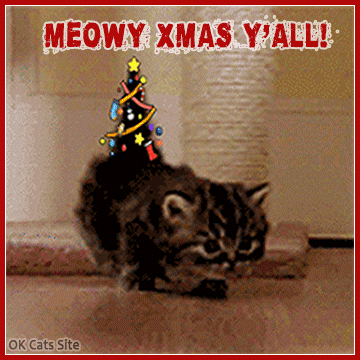Art Cat GIF • Cute Kitty with his funny Xmas tree tail. Beautiful colorful ‘Triangle tail.' Art Cat GIF • Cute Kitty with his funny Xmas tree tail. Beautiful colorful ‘Triangle tail.'