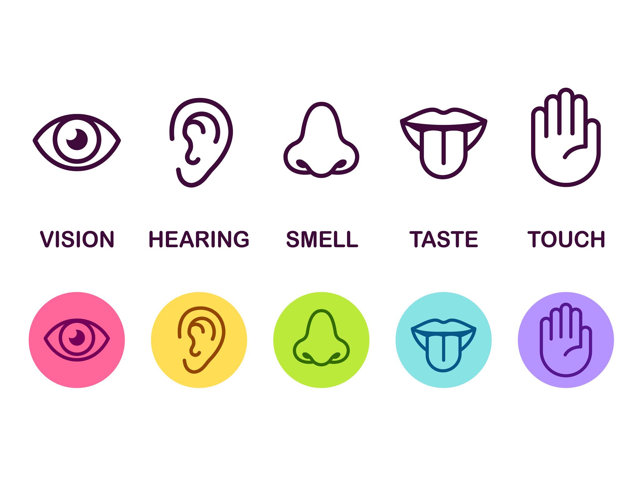 These describe the properties of a substance through the five senses: Hearing, smelling, seeing, touching and hearing.