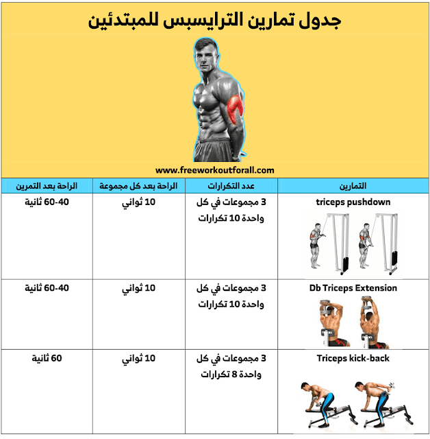 تمارين الترايسبس بالصور