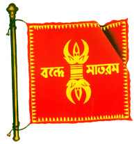indra's flag