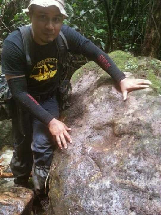 dinosaur fossil in malaysia Peter Underwood