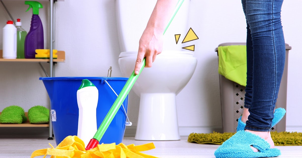 6 Cara Menghilangkan Lalat Kecil Di Kamar Mandi 100 Ampuh Bang Izal Toy 6 Cara Menghilangkan Lalat Kecil Di Kamar Mandi 100 Ampuh Bang Izal Toy