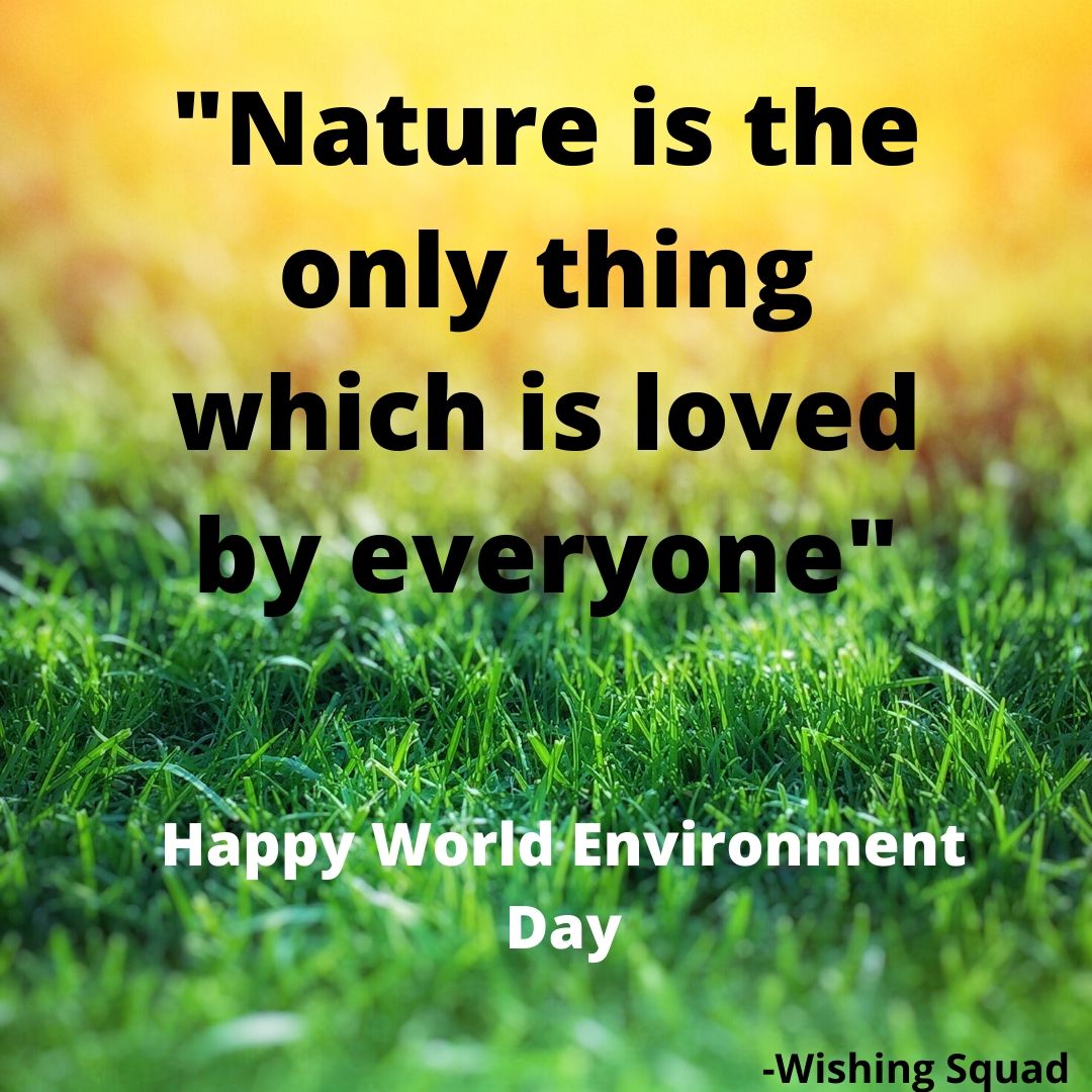 nature quotes