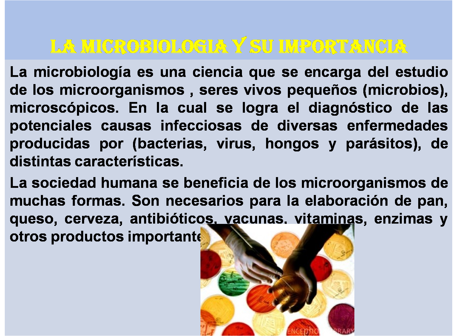 Microbiologia La Microbiologia Y Su Importancia | Images and Photos finder