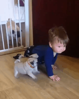 1f44107db97fe379a5b34f22bb7dd24b.gif