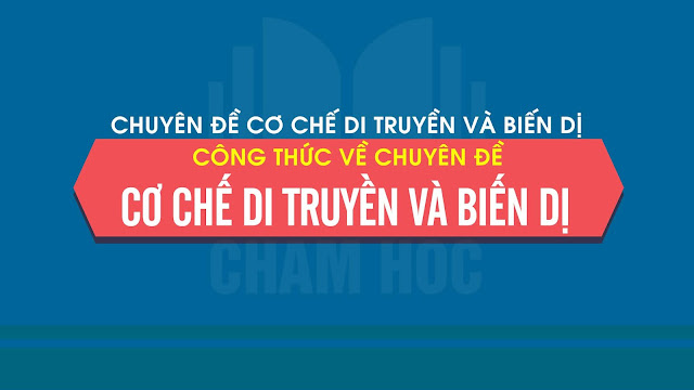 Công thức về Chuyên đề cơ chế di truyền và biến dị (1)