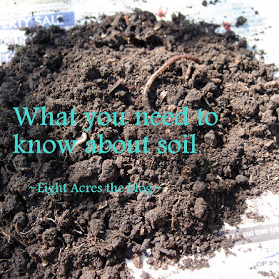 eight acres: what you need to know about soil - texture, structure and microbes