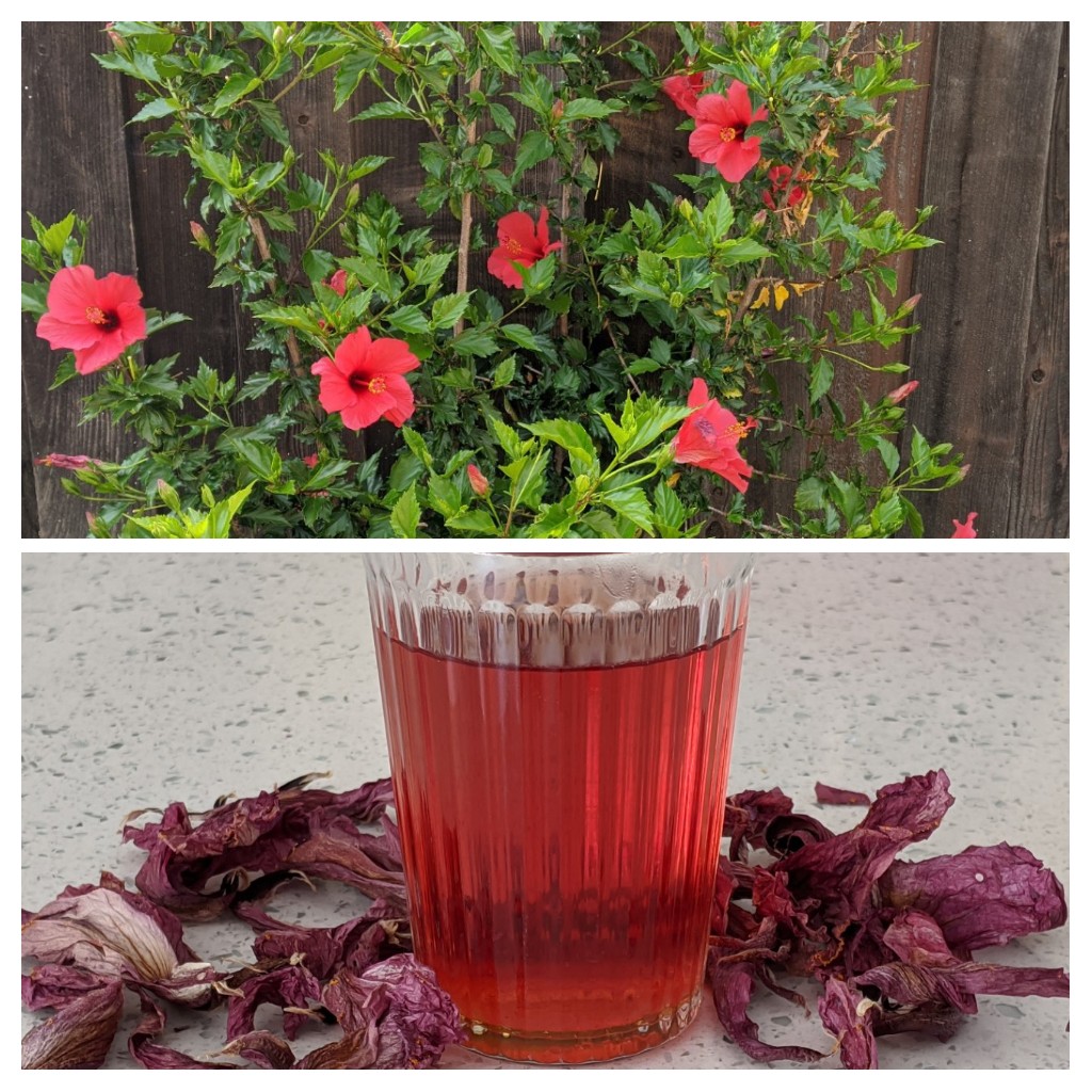 HIBISCUS TEA