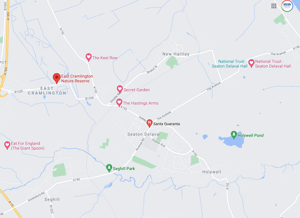 Secret Garden Seaton Delaval Review North East Family Fun