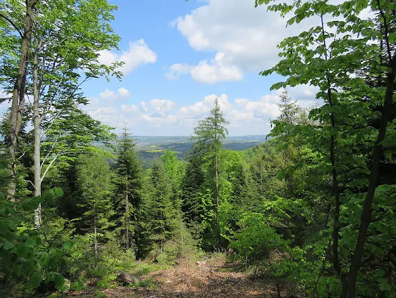 Panorama ze Spalonej Góry Widok ze Spalonej Góry