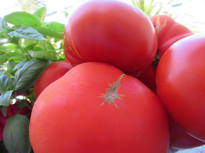 Kako jednostavno oguliti rajčice / Easiest way to peel tomatoes Kako jednostavno oguliti rajčice / Easiest way to peel tomatoes