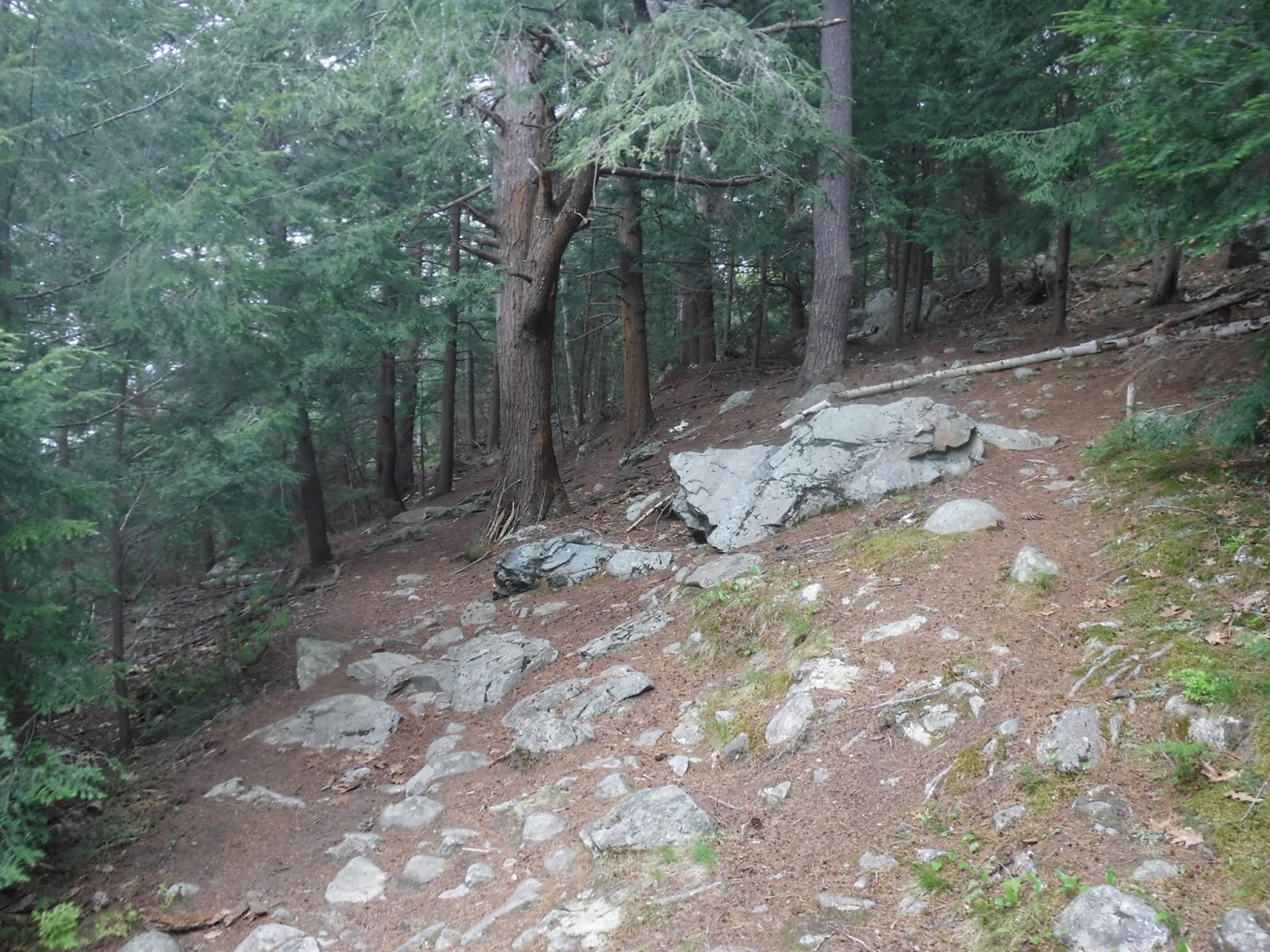 Indian Trail Park (Brewer)