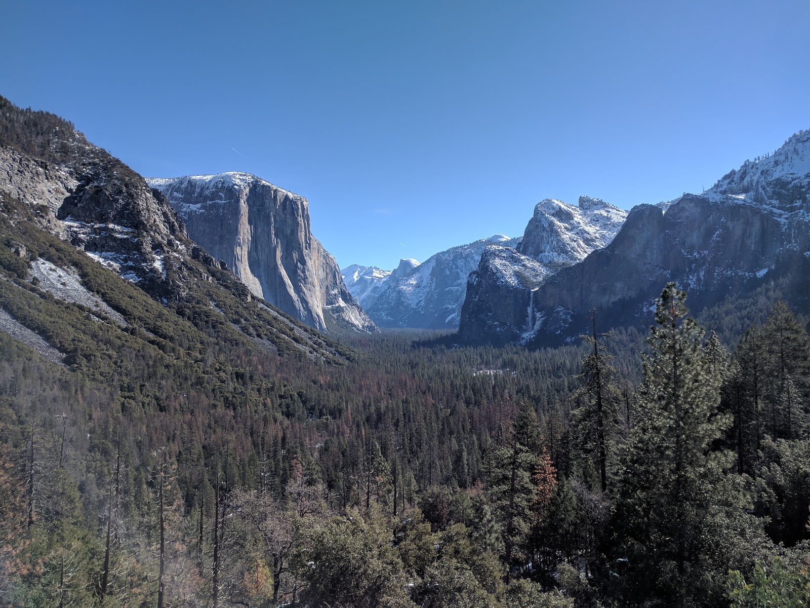 Naturetastic Blog Yosemite National Park (March Cellphone Shots)