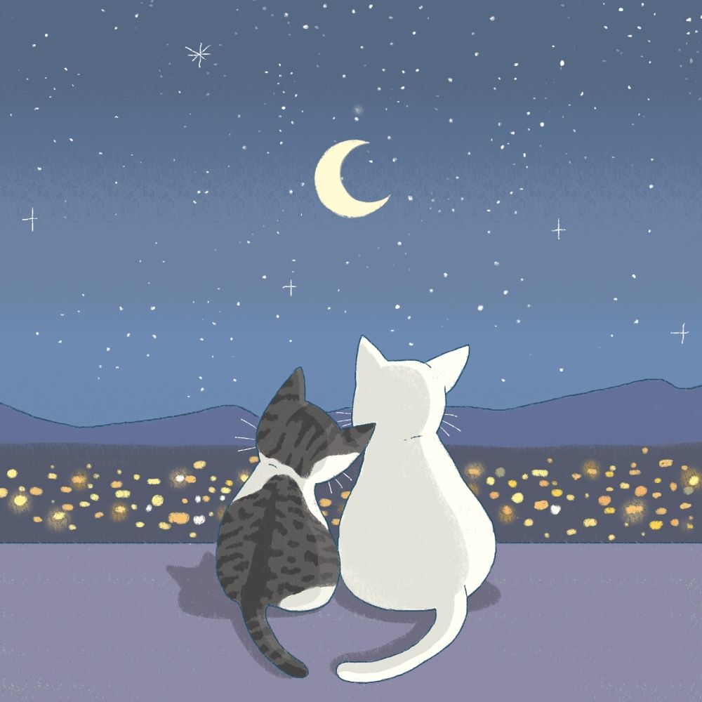 Moonbit – 토닥여줘 – Single