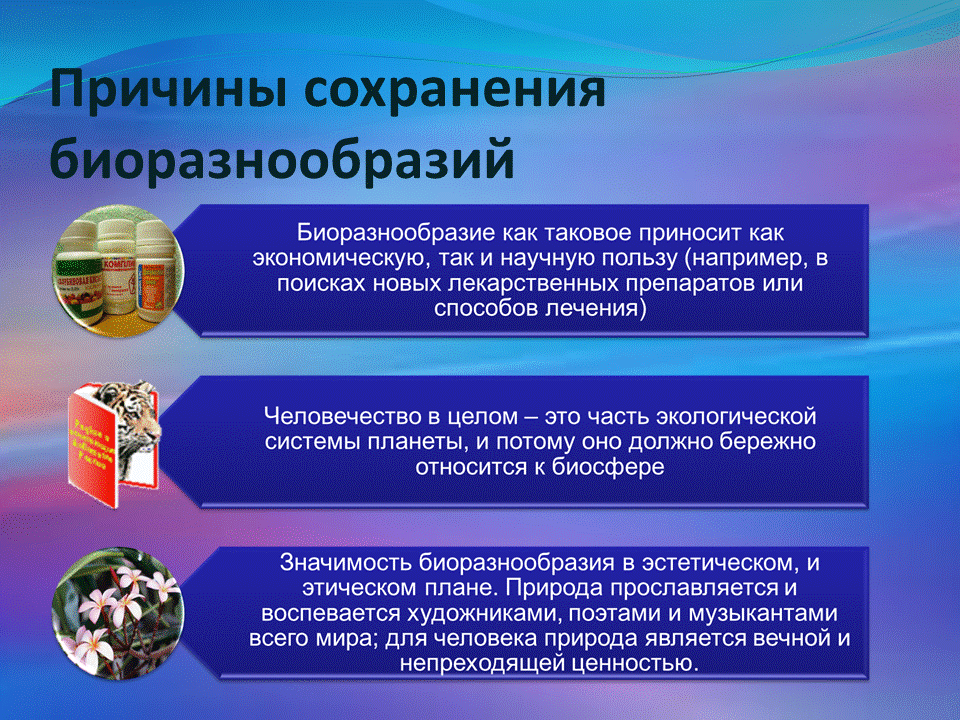 Проблемы сохранения здоровья человека. Причины сохранения биоразнообразия. Решение проблемы сохранения биоразнообразия. Глобальные экологические проблемы. Причины сохранения биоразнообразия.