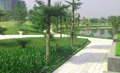 [Image: khuon-vien-cay-xanh-phu-my-complex.png]