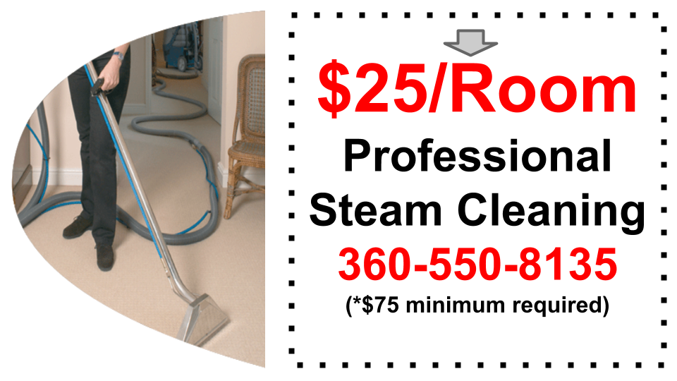 Spring Cleaning Carpet Cleaner Special