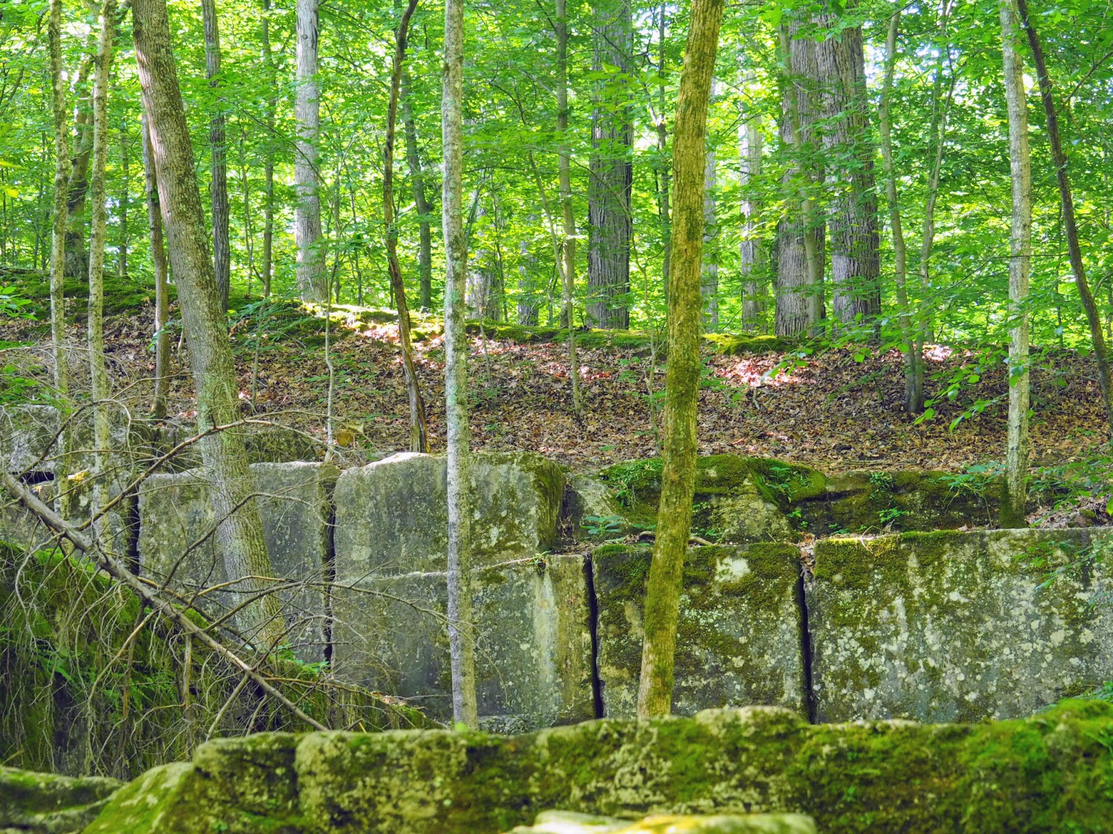 Spencer, IN McCormick's Creek State Park, Old State House Quarry