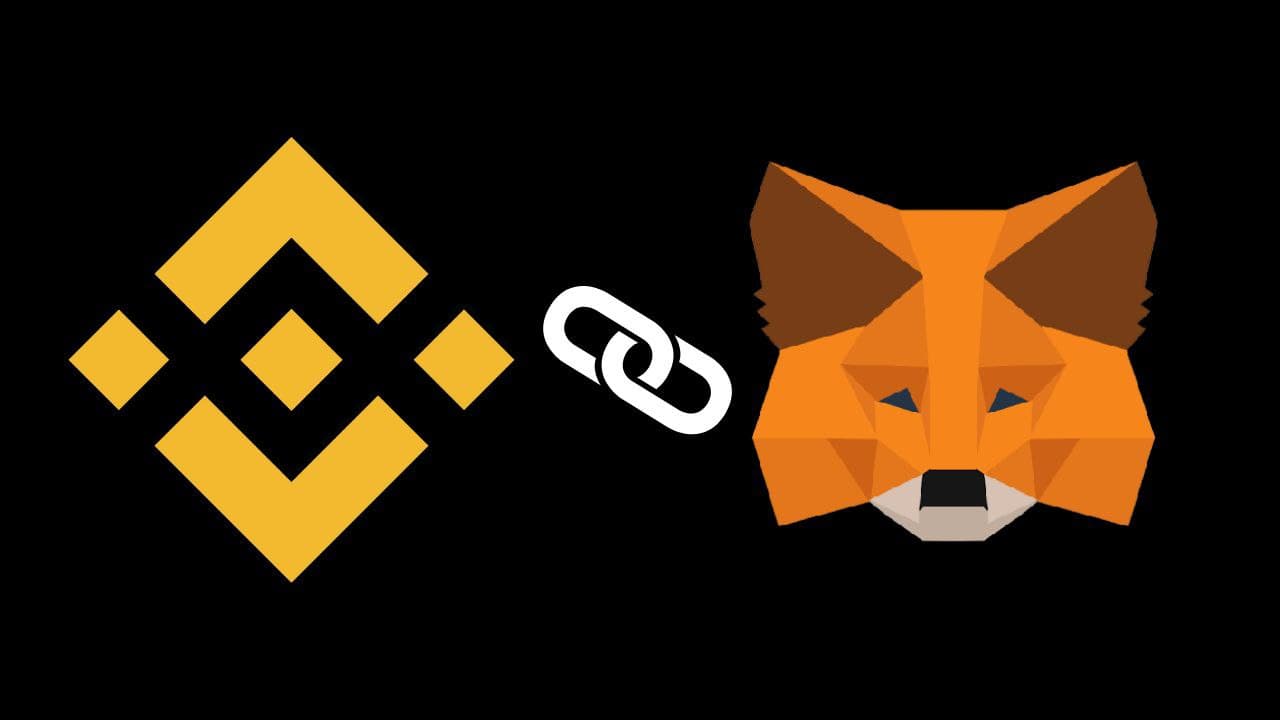 Metamask binance smart chain gas what is cardano crypto