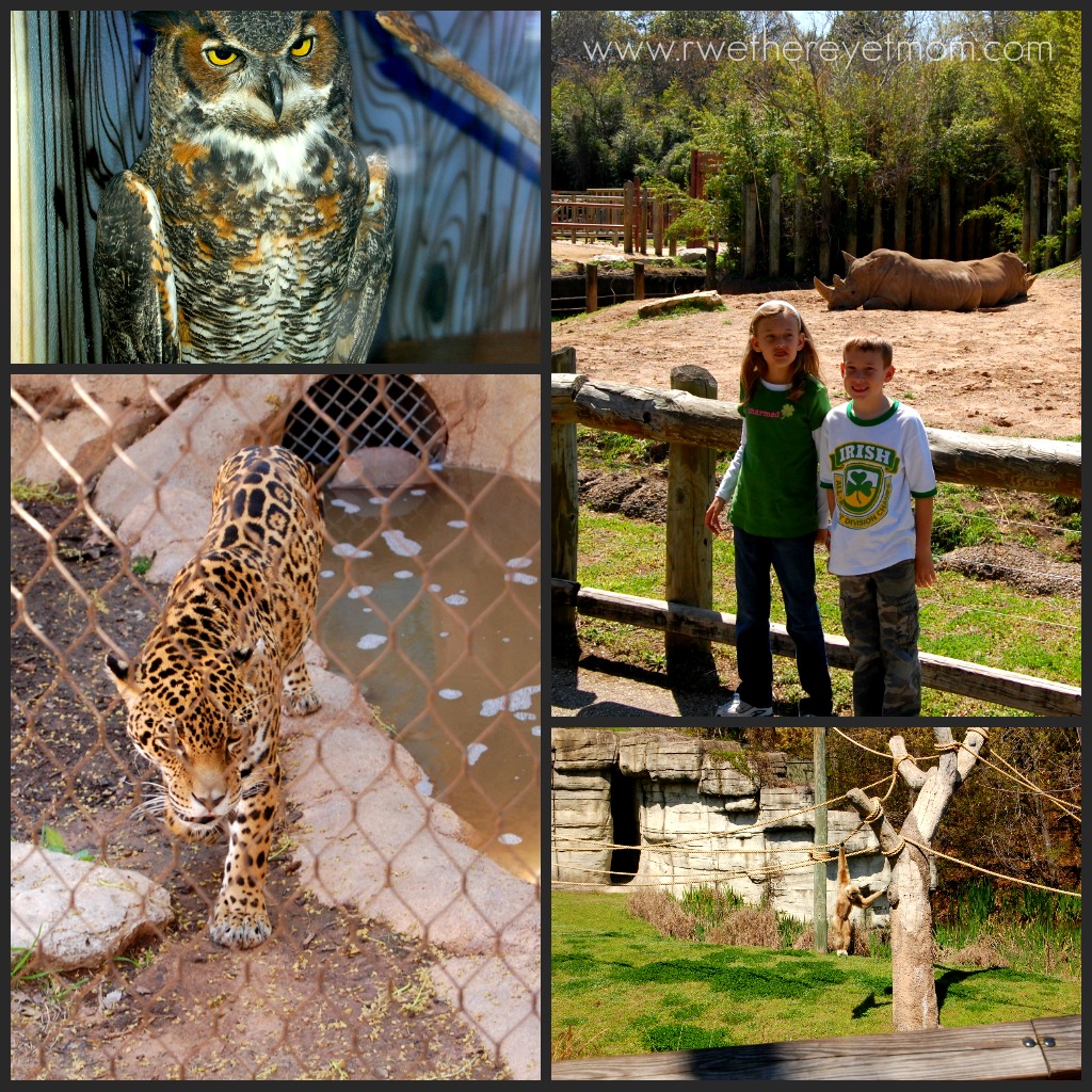 Cameron Park Zoo Waco, TX R We There Yet Mom?