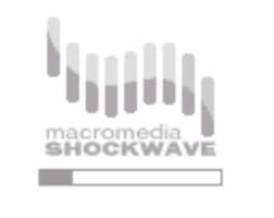 Macromedia%2BShockwave-%2Bloading%2Bbar.png